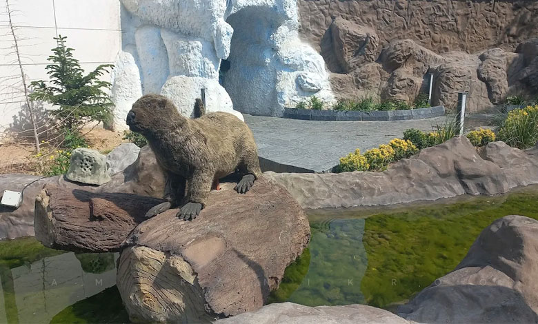 دریاچه مصنوعی اقیانوس پارک