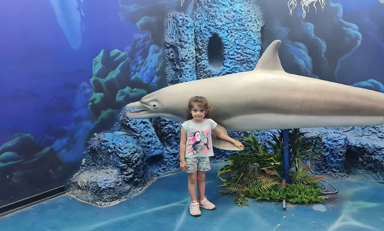 دیدنی های اقیانوس پارک