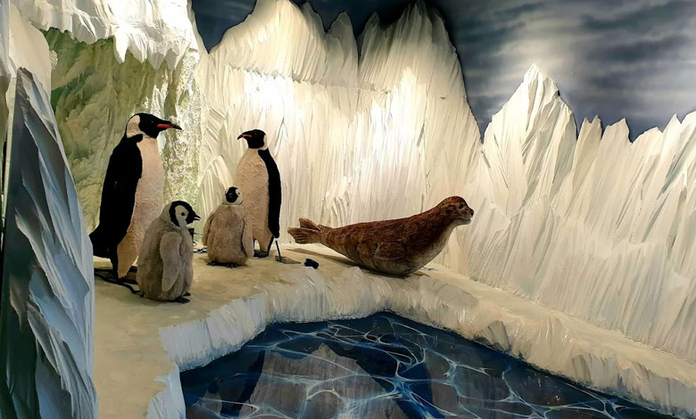 پنگوئن های اقیانوس پارک