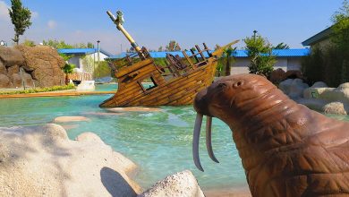 اقیانوس پارک تهران