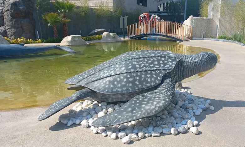 لاک پشت اقیانوس پارک