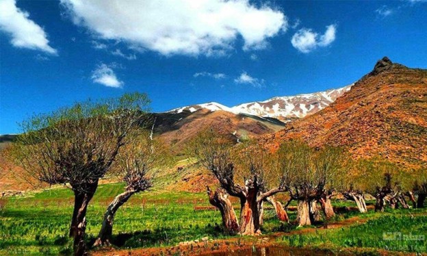 روستای افجه تهران