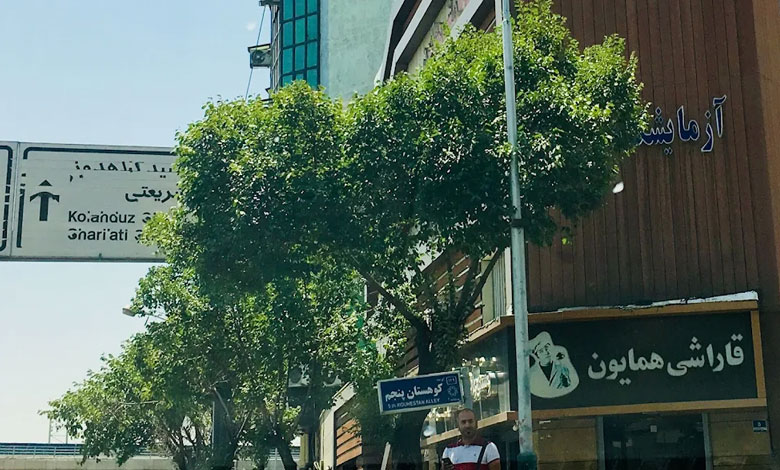 رستوران قاراشی همایون تهران