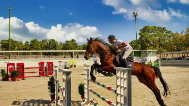 باشگاه سوارکاری قصر فیروزه تهران