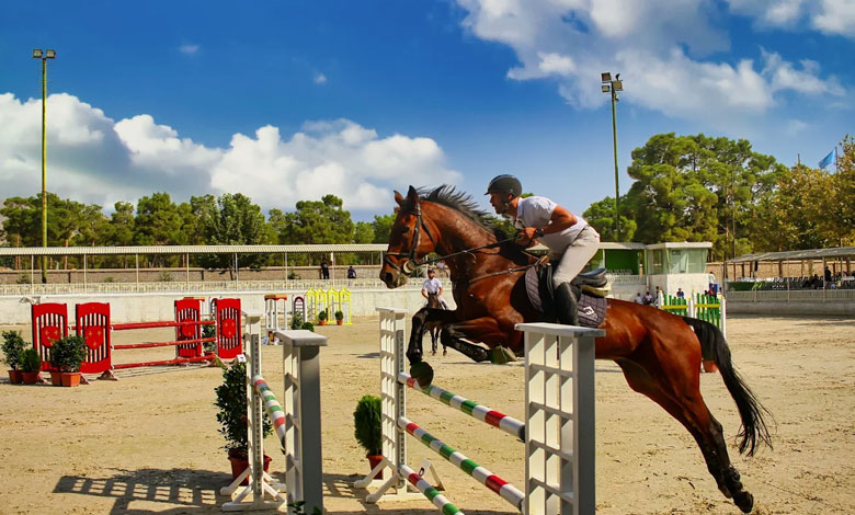 باشگاه سوارکاری قصر فیروزه تهران