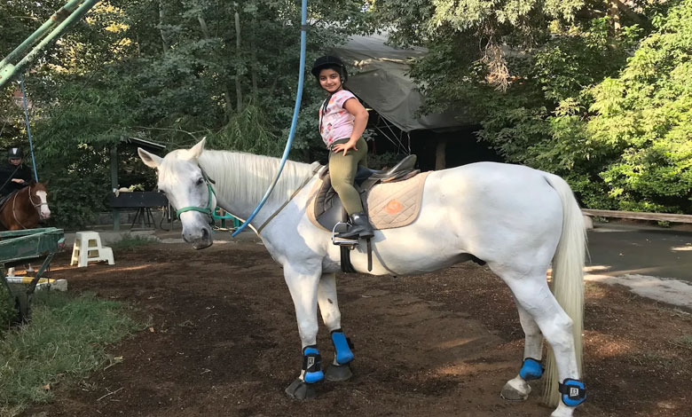 مکتب سوارکاری شکی تهران