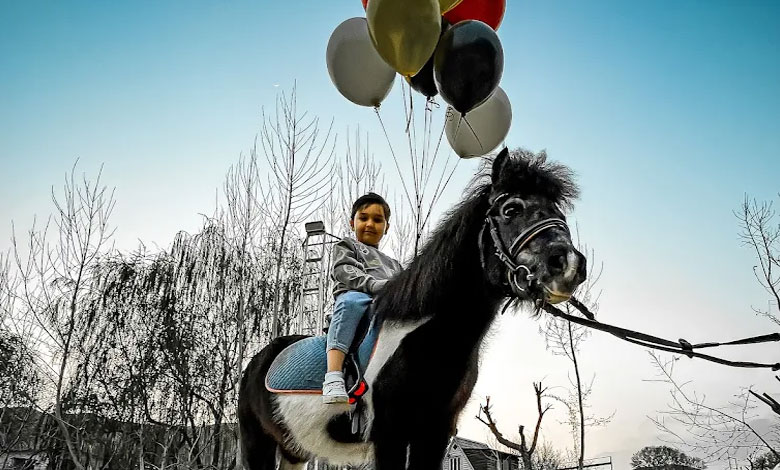 باشگاه سوارکاری اسب ایران تهران