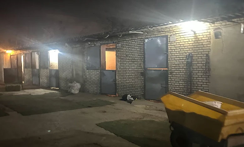 باشگاه سوارکاری رخش صبا تهران